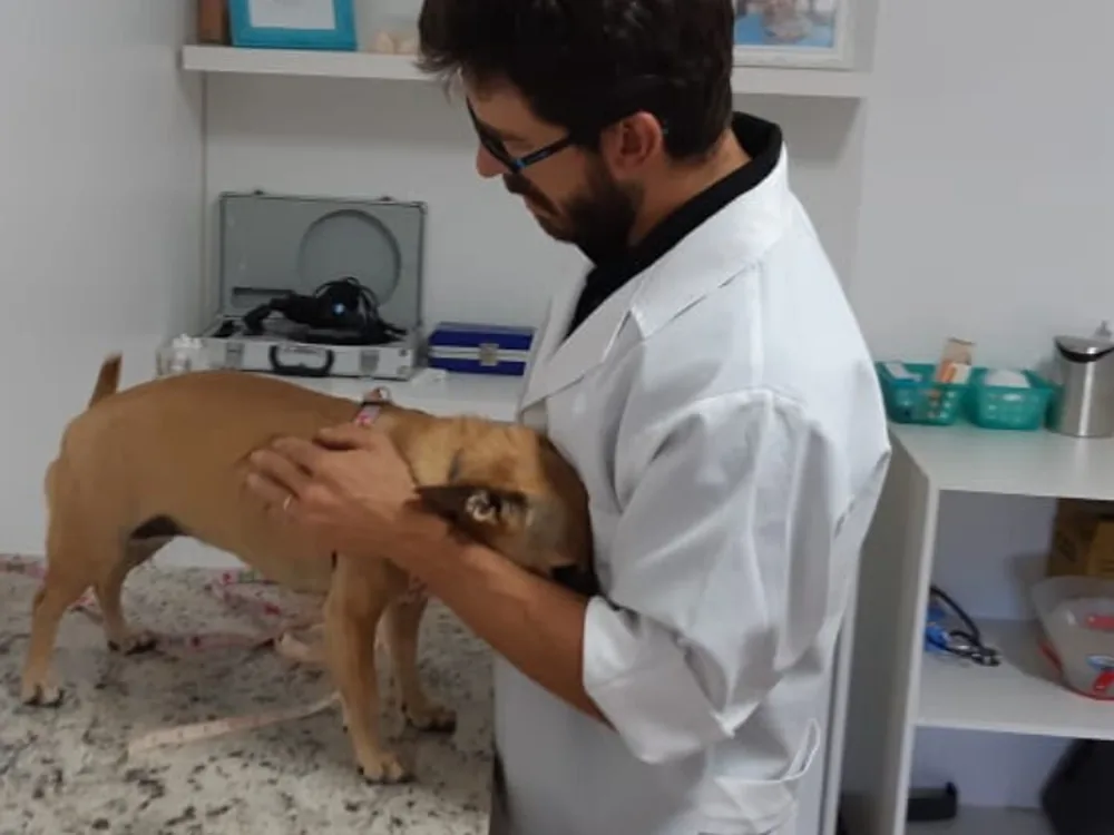 Consultórios próprios — Save Especialidades Veterinárias
