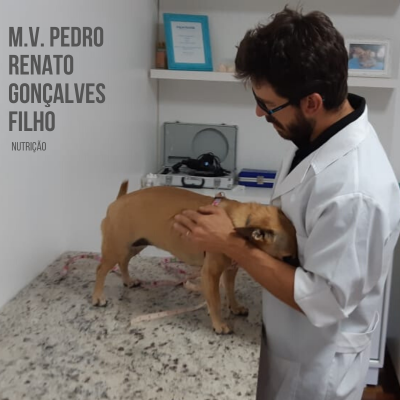 Pedro Renato Gonçalves filho