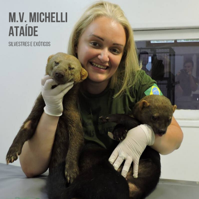 Michelli Ataíde Veterinária Silvestres Exóticos