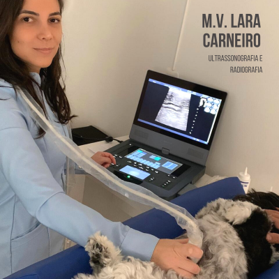 Lara carneiro ultrassonografia radiografia veterinária