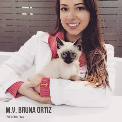 bruna ortiz endocrinologia veterinária