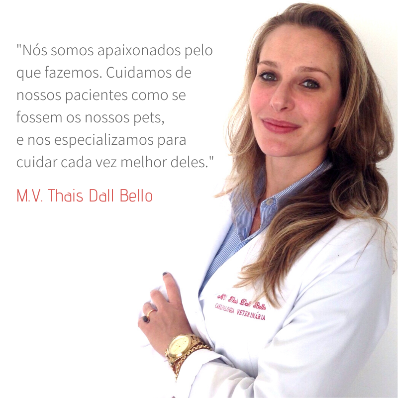 thais Dall bello cardiologia veterinária