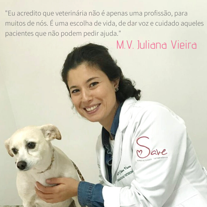 Juliana Vieira dermatologia veterinária